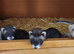 Polecat kits available