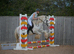 14.1 gelding 5yr old