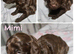 American cockapoos (health tested clear 250 conditions)
