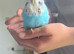 Exhibition budgies