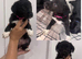 LAST PUP Bedlington Terrier X Border Collie