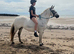 12.2H (aprx) - 16Yo - Grey - Mare - Ride & Drive