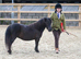 Registered standard mare
