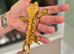 2 geckos and full set up