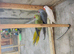 Ringnecks