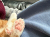 Male ginger tabby Kitten