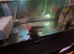Axolotl for sale