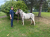 Freckles spotted roan 11.2hh 4yrs old mare