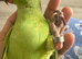 Baby handreared indian ringneck parrot