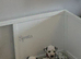 Last girl available* KC registered Dalmatian puppies *StrictlyDals*