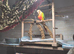 Pair of green cheeked conures