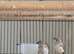 This year mixed young Zebra finches