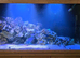 marine tank complete