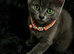 Beautiful Russian blue kittens