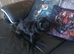 imperial shih tzu girl