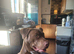 Presa canario