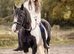 Diamond  Gypsy Cob Mare - 10year old-14hh- Trekking Pony