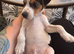 Jack Russel pup male