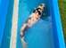 japanese showa koi 55cm