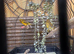 Canary for sale