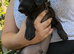 Pure black mini dachshund boy