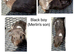 X2 male Guineapigs, Silver Rex and smooth black son