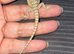 Bearded dragon baby’s
