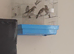 2026 Goldfinches