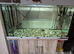 Joblot fish tanks