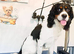 Cookie needs a new home