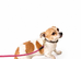 Jackrussel girl