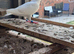 White racer hen