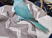 Gorgeous turquoise blue baby ringneck