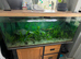 4 foot fish tank- only had for a few months - 300 litres