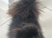 Gorgeous 2-Year-Old Toy Pomeranian Girl