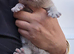 GCCF Registered Lilac British Shorthair