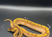 Enchi Pinstripe (Stinger Blast) Calico Ball Python