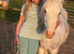 TGCA Fully vaccinated cob filly