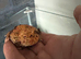 Young strawberry Pac-Man frog