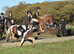 Texas &ndash; 14hh 13yo Mare &ndash; Fun, Brave & Full of Potential  Based Wickford Essex