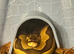 Male ball python