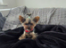 Tiny princess Coco