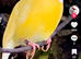 Wanted cock gouldion finch