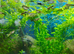 Female and male guppies