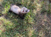Micro ferrets / Micro crosses