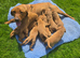Beautiful Fox Red Labrador Retriever