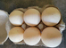 Hatching eggs