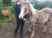 12 month old strawberry roan filly