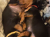 Puppies looking for 4ever home