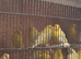 Sattinet canaries